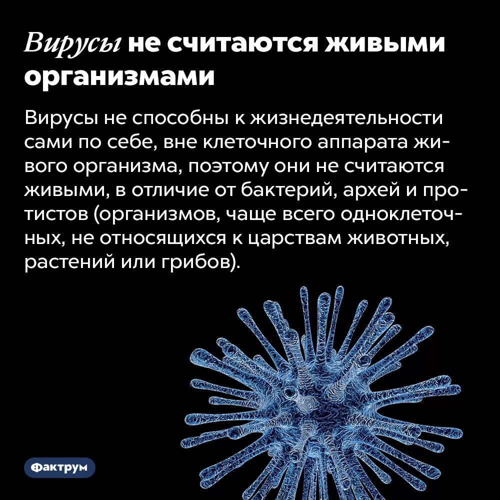 Вирусы способны размножаться только в живых клетках. Вирусы это живые организмы. Высказывание о вирусах. Интересные вирусы. Интересные факторы о вирусах.