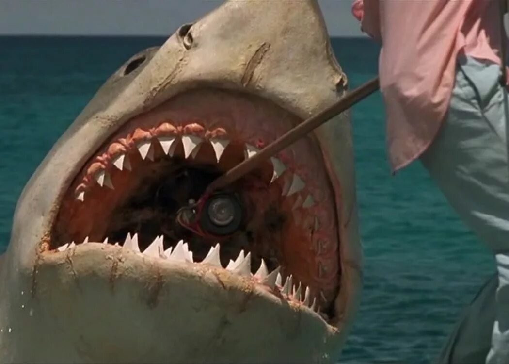 Jaws