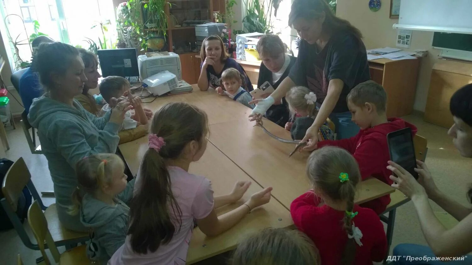 ддт преображенский кружки. детский дом творчества преображенский. дворец молодежи преображенский. детский дом творчества преображенский. дворец детского творчества преображенский.