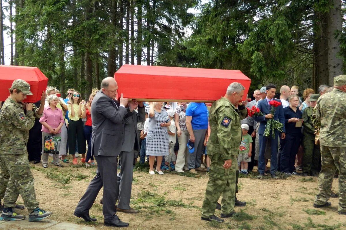 Погода в зубцовском районе