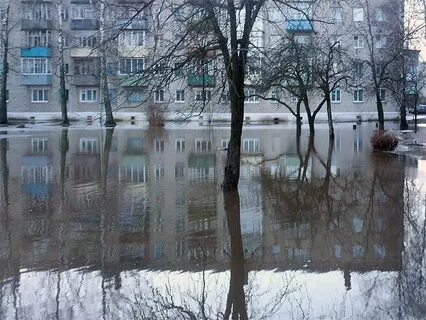 Ломоносова новозыбков