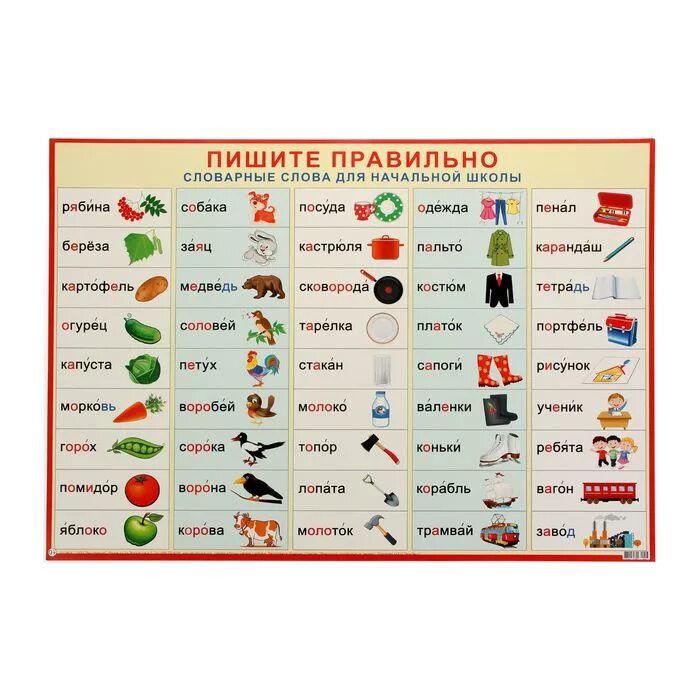 Как пишется слово выучишь. Пиши правильно словарные слова. Слварный слова. Словарные слова для начальной школы плакат. Словарные слова начальная школа.