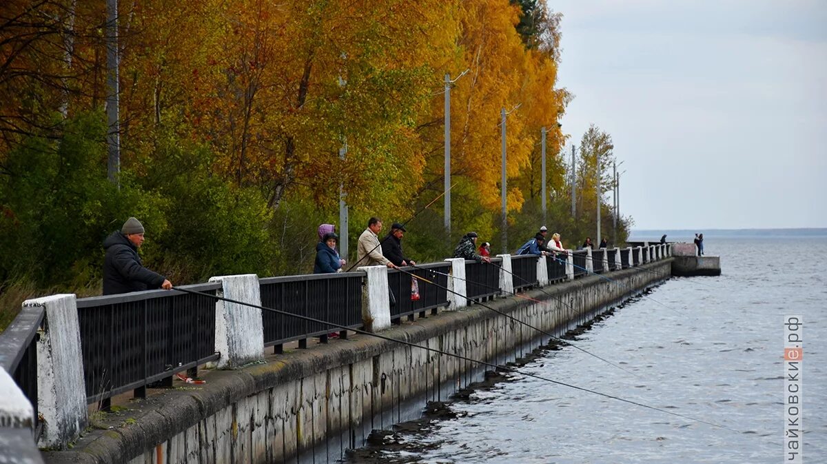 Прогноз в чайковском пермский край. Город Чайковский набережная. Набережная г Чайковский Пермский край. Набережная реки Кама Чайковский. Чайковский набережная Камы.