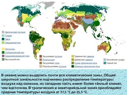 Проявление широтной зональности