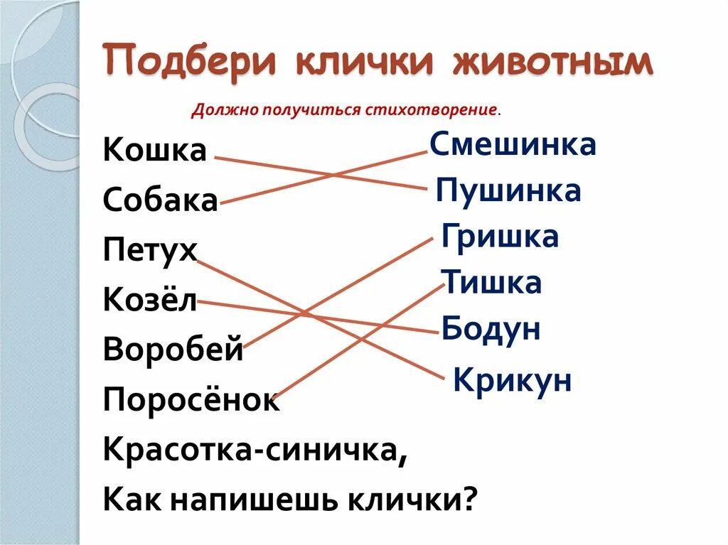 Клички животных. Подобрать клички животным. Клички животных список. Подберите животным клички. Названия кличек животных