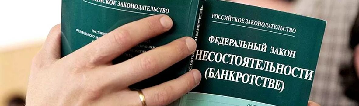 Арбитражный управляющий фз о несостоятельности. Фз о несостоятельности банкротстве. банкротство предприятия. судебное банкротство. возбуждение дела о банкротстве.