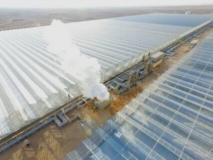 Solar steam