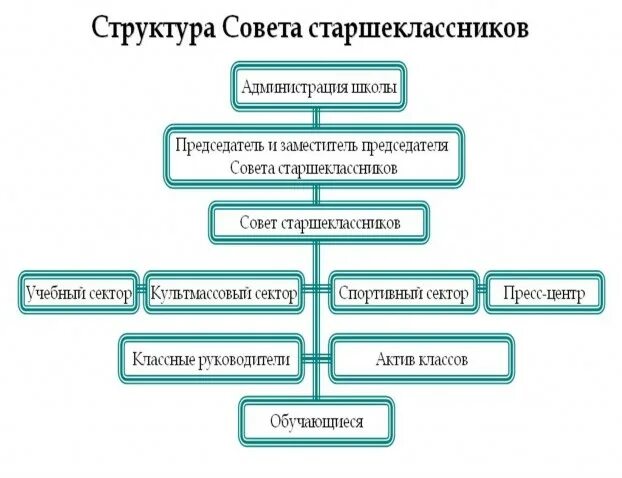 Документы совета школы. Состав совета старшеклассников в школе. Структура совета старшеклассников. Структура ученического совета. Структура совета старшеклассников в школе.