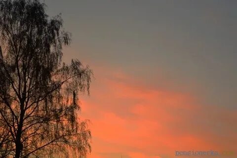 Закаты алые песня минус с бэк вокалом