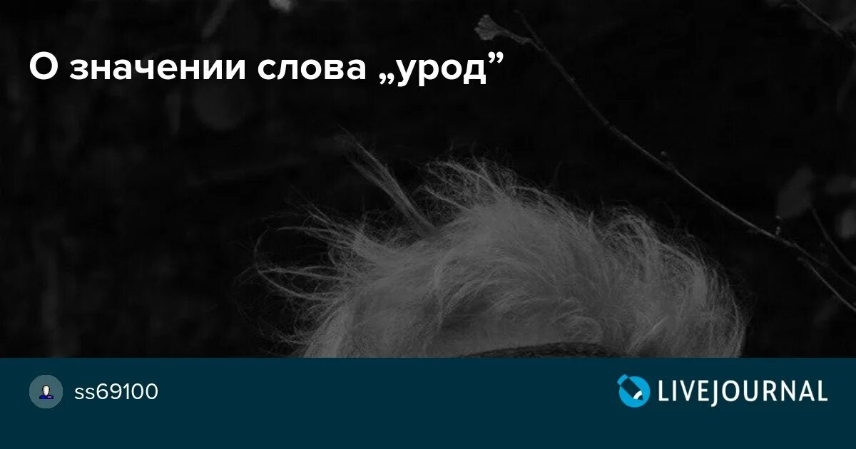 Что значит урод. Значение слова урод. Смысл слова урод. Уродина слово. Значение слова уродец.