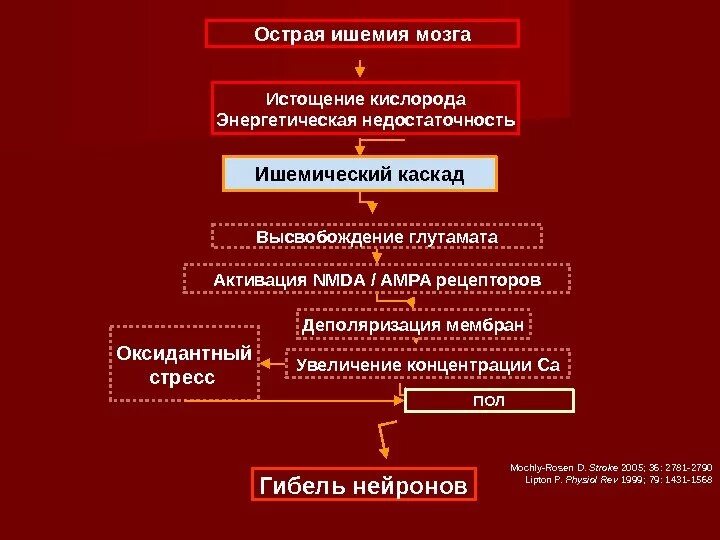 Механизмы развития ишемии. Патогенез ишемического инсульта ишемический Каскад. Классификация острых ишемий головного мозга. Патогенез ишемического инсульта схема. Ишемический инсульт головного мозга патогенез.