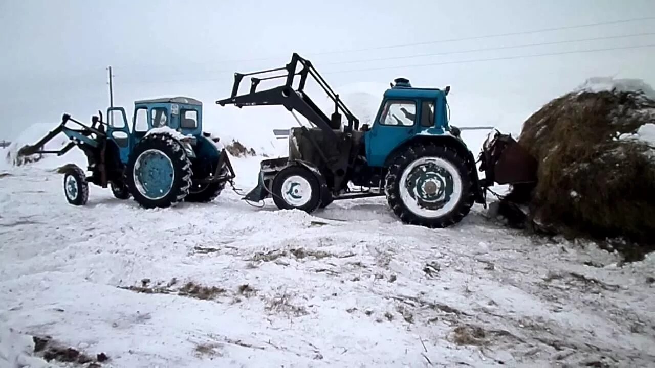 Работа мтз видео. МТЗ-80 трактор. МТЗ-80 трактор зимой. Трактор МТЗ 80 зима. Трактор МТЗ 80 С куном.