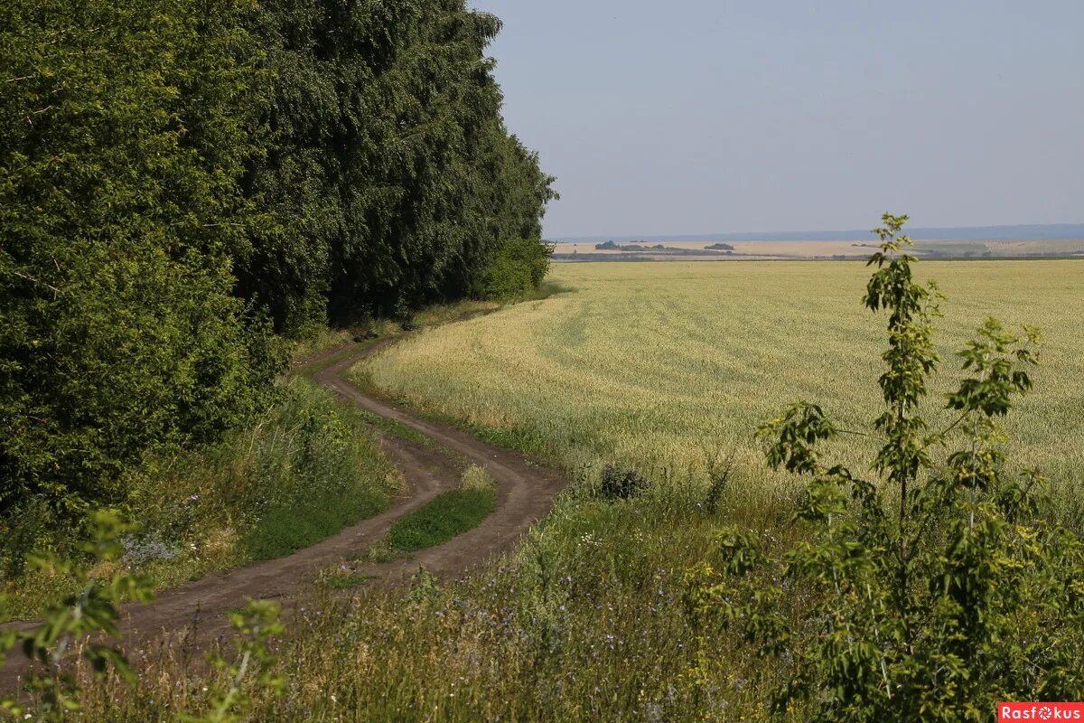 Село красные горки нижегородская область. Пильнинский район село красная горка. Село красная горка Нижегородская область. Красная горка Нижегородская область Пильнинский район. Красногорская сельсовета Нижегородская область Пильнинский район.