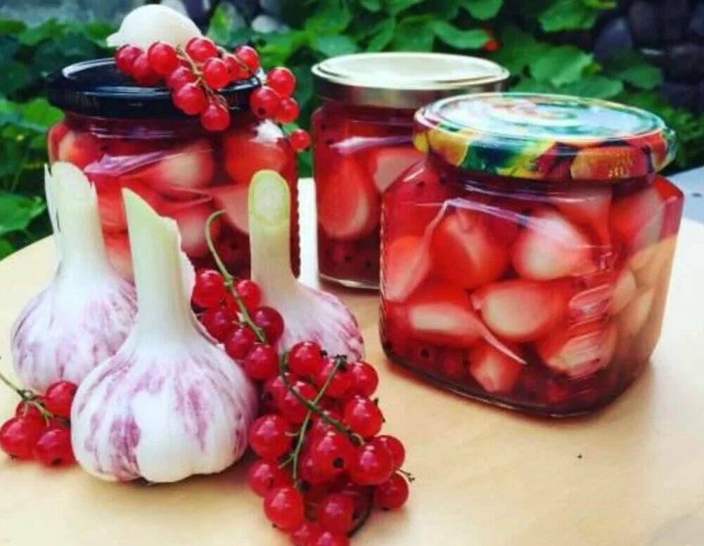 Маринованная свекла для холодного борща. Засолка огурцов с красной смородиной на зиму. Огурцы с красной смородиной. Сок красная смородина. Маринованный чеснок с красной смородиной.