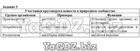 Заполните таблицу участники