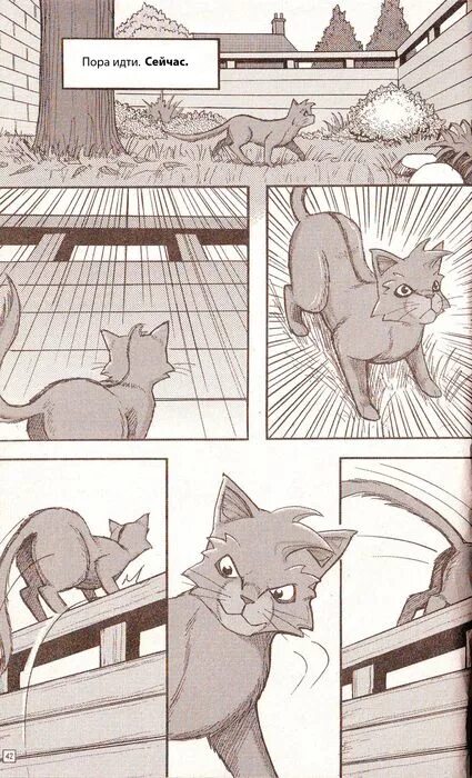 Коты воители пропавший воитель. Коты воители манга пропавший воитель. коты воители манга трилогия о крутобоке. коты воители солнечный путь. коты воители манга крутобок.