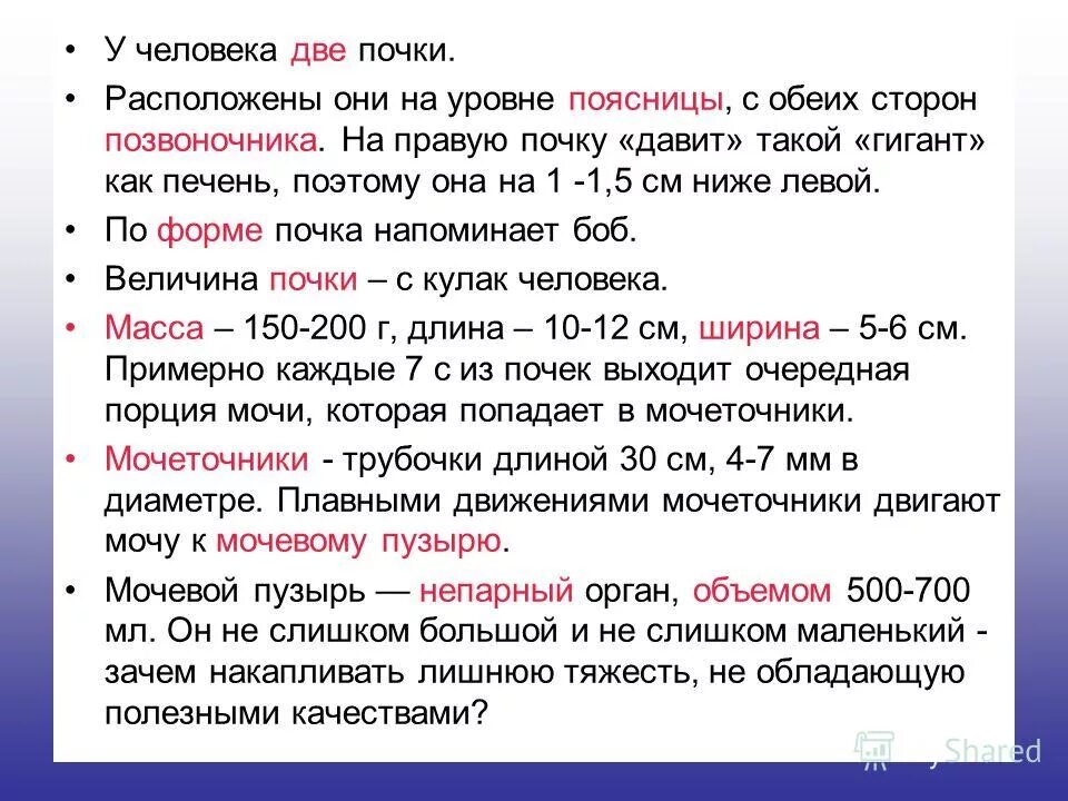 Доклад на тему почки. Доклад о почках человеческих. Доклад почки 3 класс.