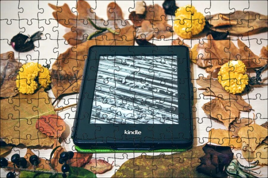 Kindled inspiration. Kindle paperwhite 2019. Электронная книга. Kindled inspiration. Kindled inspiration.