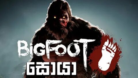 Bigfoot freetp