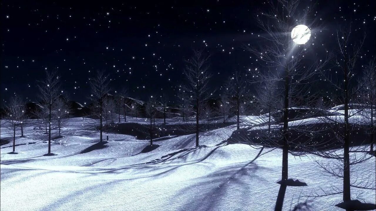 It was a cold winter night. Фонари в парке. Зимняя ночь в городе. Снегопад. Зимняя ночь.