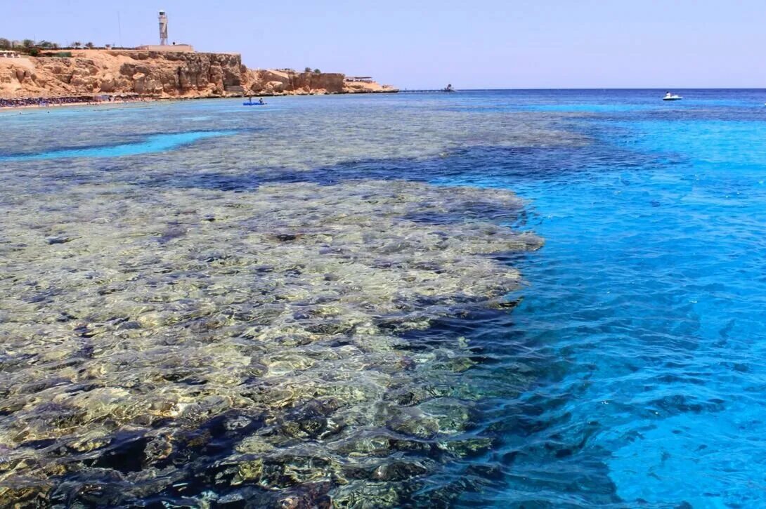 Вода в шарме сегодня