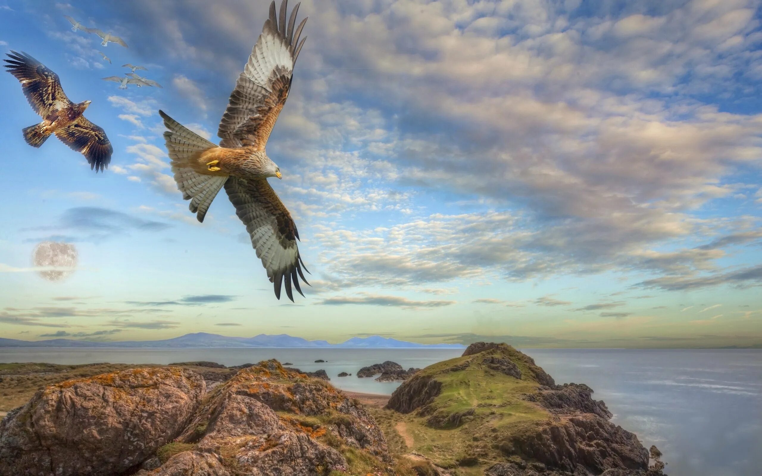 Птица над горами. Полет в горах. Там летели горы. Полет птицы. Орел беркут дагестана в хребтах кавказа.