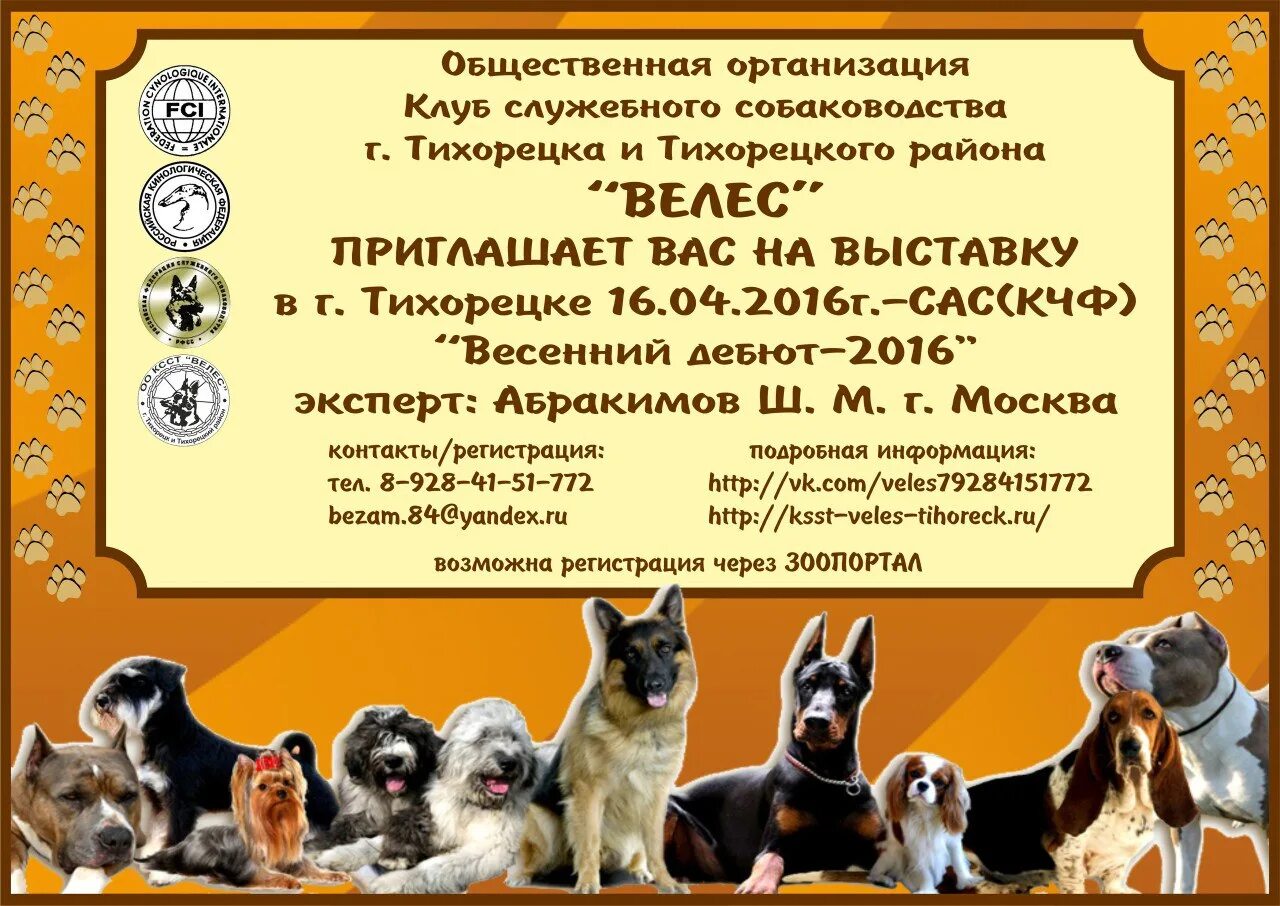 Академгородок выставка собак предстоящие. Кинологический клуб. Выставка собак реклама. Клуб собаководов. Баннер клуба собаководства.