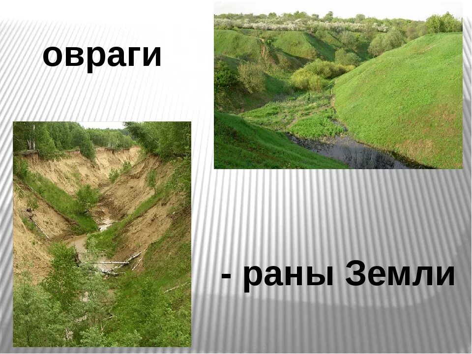 Земля с оврагами. Овраг в горах. Овраг презентация. Низменности овраги.