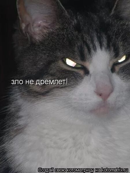 Не злой но при этом довольно строгий. Не злой но при этом довольно строгий
