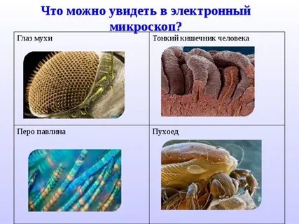 Увидим с помощью чего