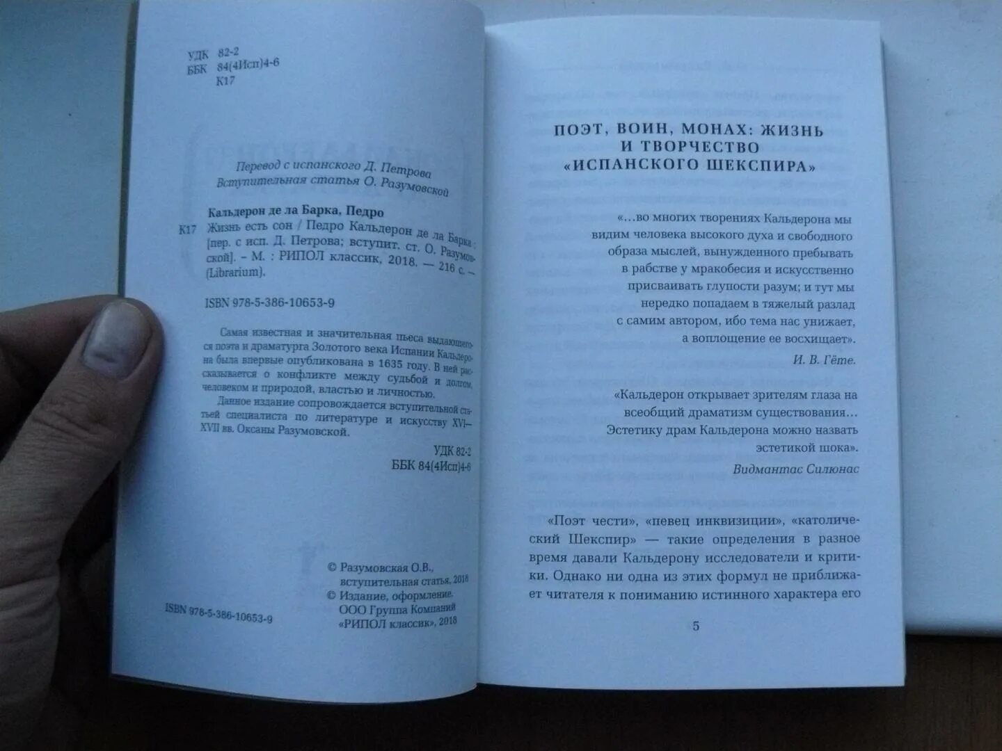 Жизнь есть сон краткое содержание. Жизнь есть сон краткое содержание