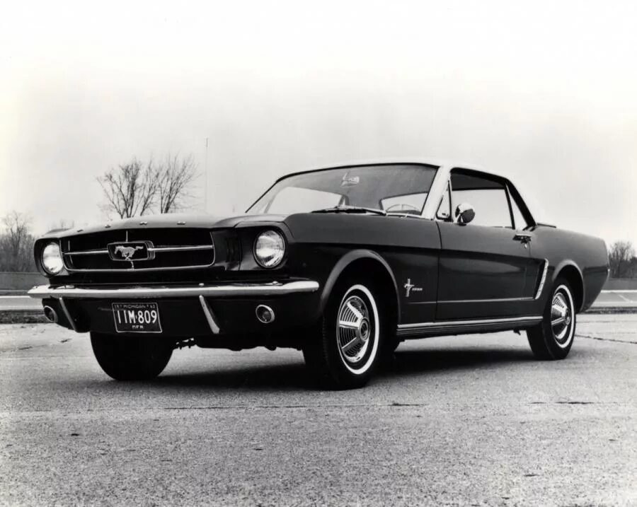 Порода кигер мустанг. Ford mustang shelby 1964. Мустанг жив. Ford mustang 1967. Мустанг жив.