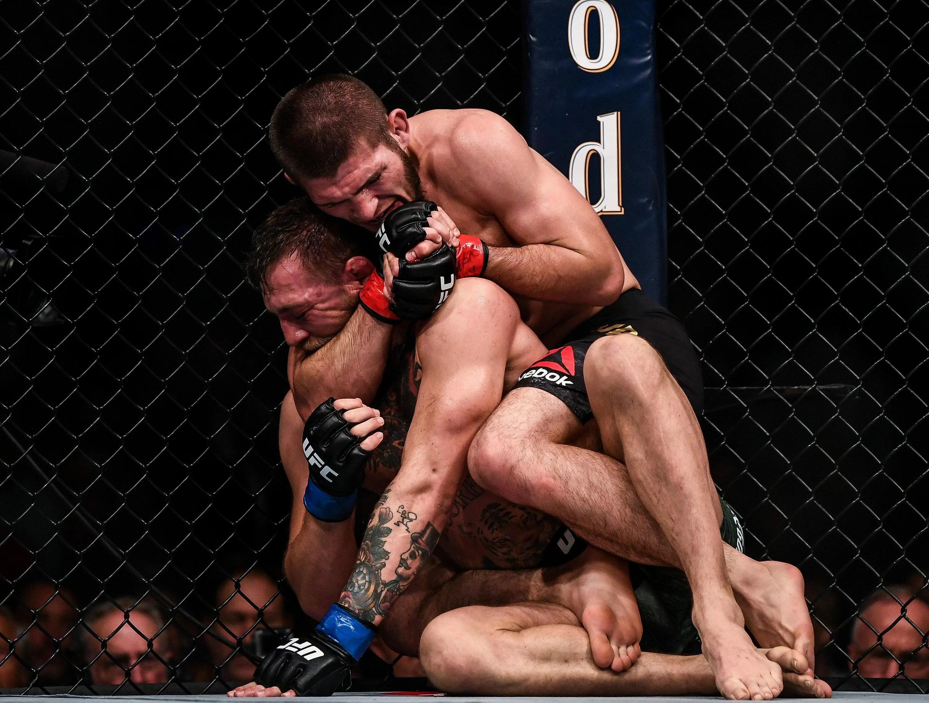 Как попасть в ufc. Ufc 158 st-pierre vs. Как попасть в ufc. Конор макгрегор порье. Шамиль абдурахманов боец юфс.