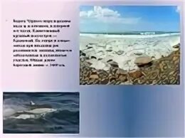 Как использовали черное море раньше. Описание чёрного моря. доклад о море. рассказ о черном море. сообщение о черном море.