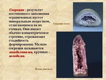 Секреция