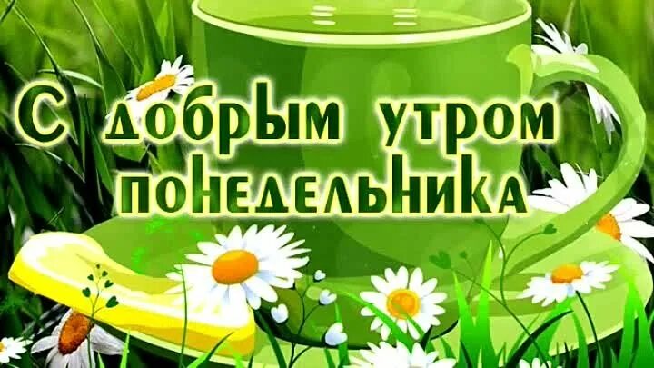 Доброе утро понедельника лето с пожеланиями