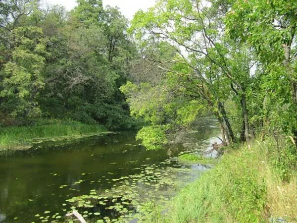 Климат Воронежской области. Климат Воронежа. Климат Воронежской области фото.