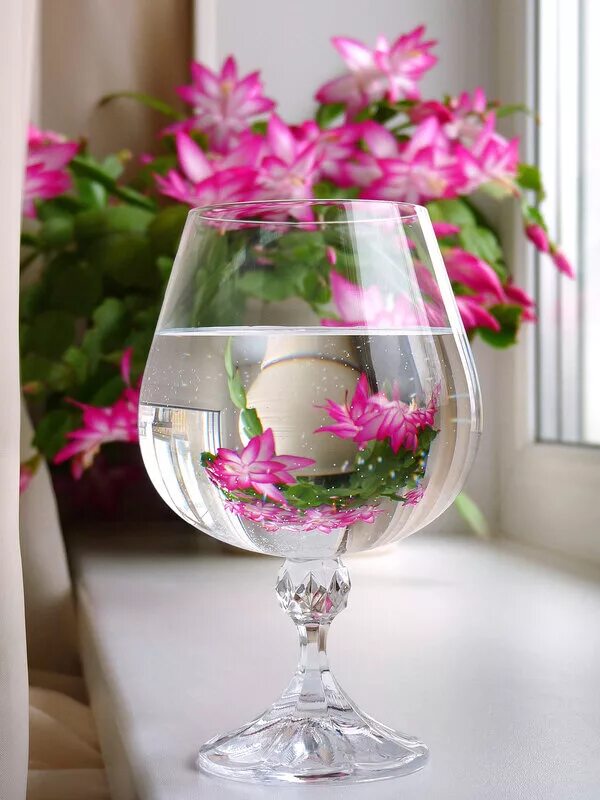 Цветы в бокале. Цветы на столе букет. Картинки бокал с цветами. Картинки бокал с цветами. Цветы в бокале.