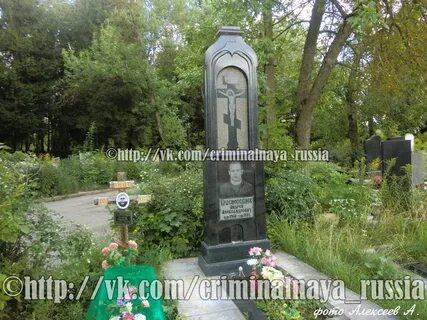 Криминальная тула