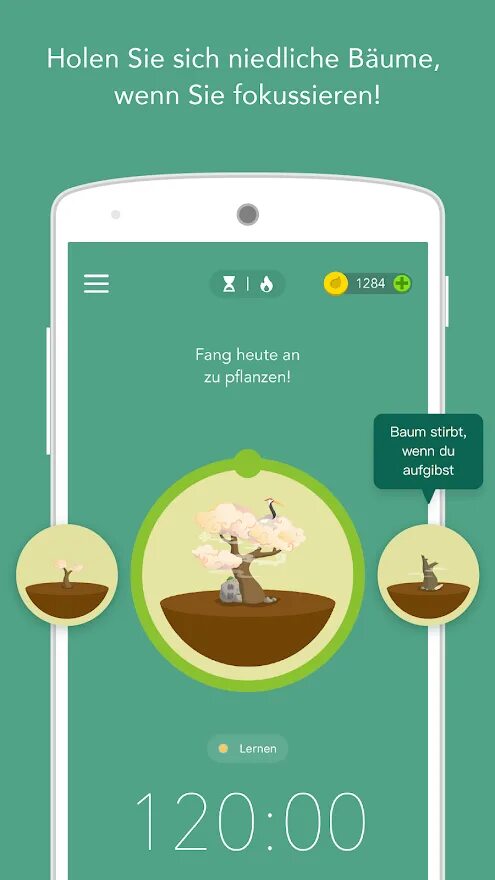 Лучшее приложение для леса. Приложение форест. forest: будь сосредоточенным приложение. приложение форест деревья. forest будь сосредоточенным.