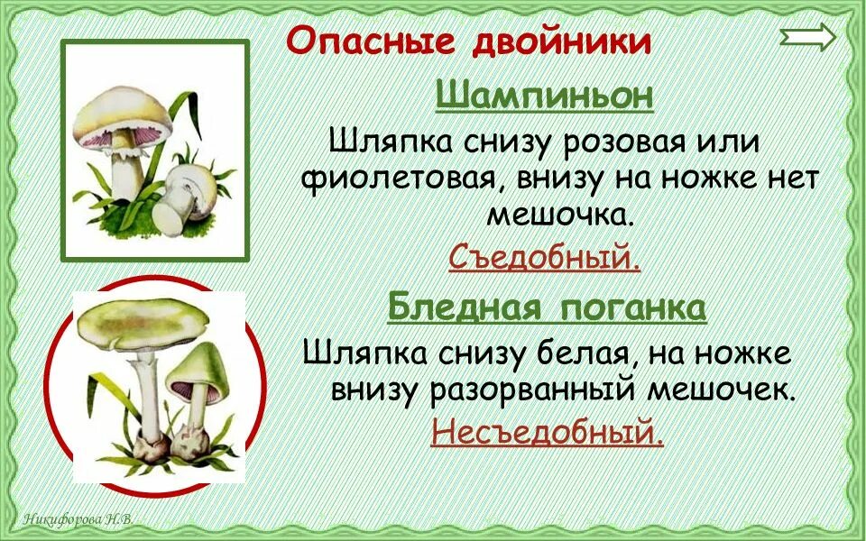 Гриб двойник бледной поганки. Грибы двойники шампиньон и его опасный двойник. Гриб двойник шампиньона ядовитый. Опасный опасный двойник к грибу шампиньона. Коварные двойники сходства и различия