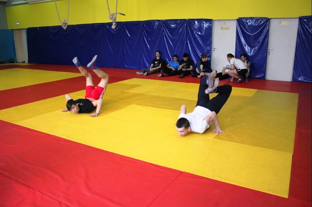 Самбо гто 6 ступень. Самбо гто. Самбо пермский край. Самбо гто. Гто самозащита без оружия 4 ступень.