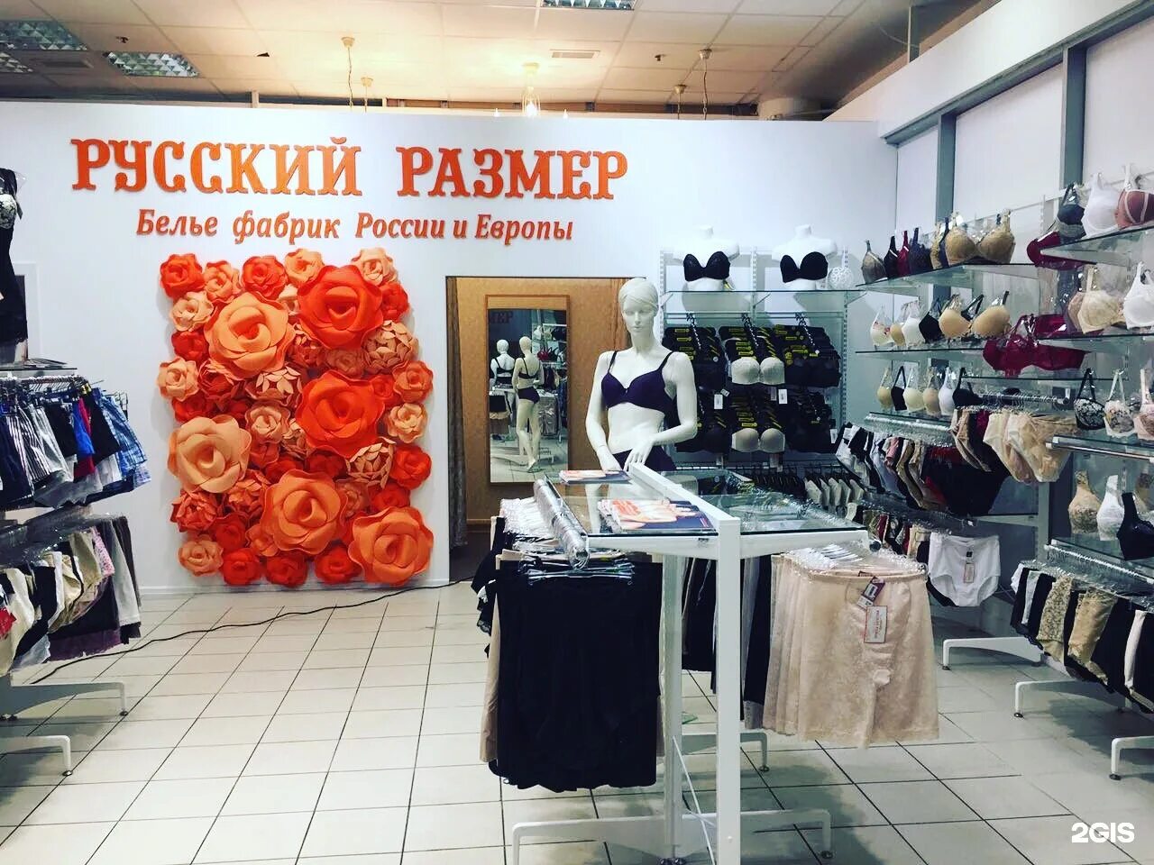 Дисконт магазины женской одежды. Модис магазин. Модис одежда. Магазин большой одежды для мужчин. Дисконт одежда.