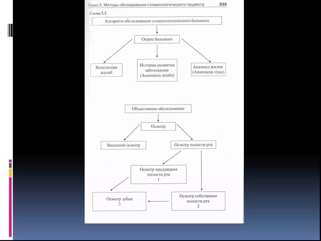 Алгоритмы обследования больных. Алгоритм обследования полости рта. Алгоритм обследования стоматологического больного. Схема основные методы обследования стоматологического больного. Алгоритм обследования стоматологического пациента схема.