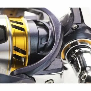 Daiwa regal lt