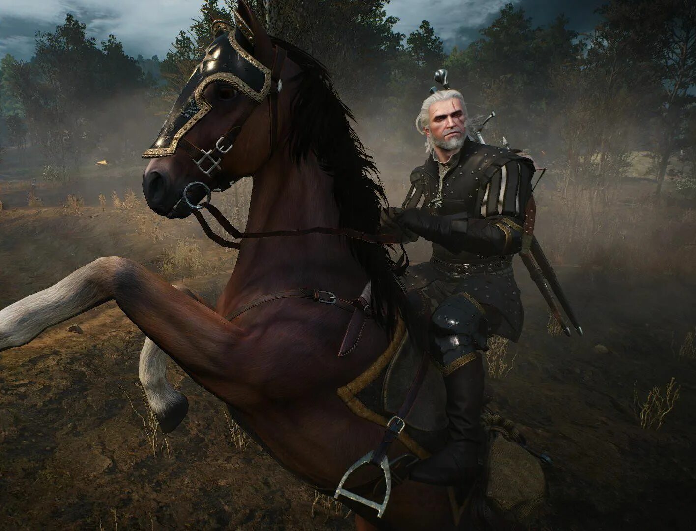 Плотва ведьмак 3. Ведьмак 3 геральт и плотва. Ведьмак скачки вегельбудов. Плотва лошадь ведьмака. The witcher 3 плотва.