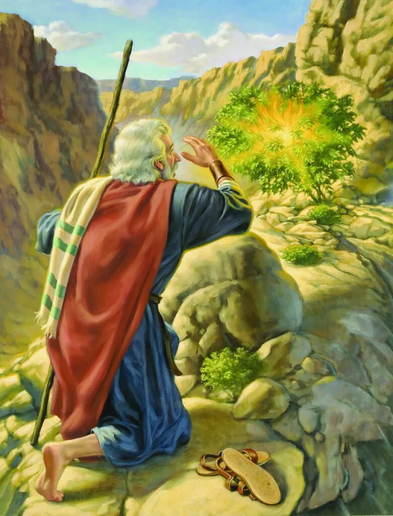 ветхий завет моисей. моисей доклад. жизнеописание моисея. моисей вождь израиля. библейский персонаж моисей.