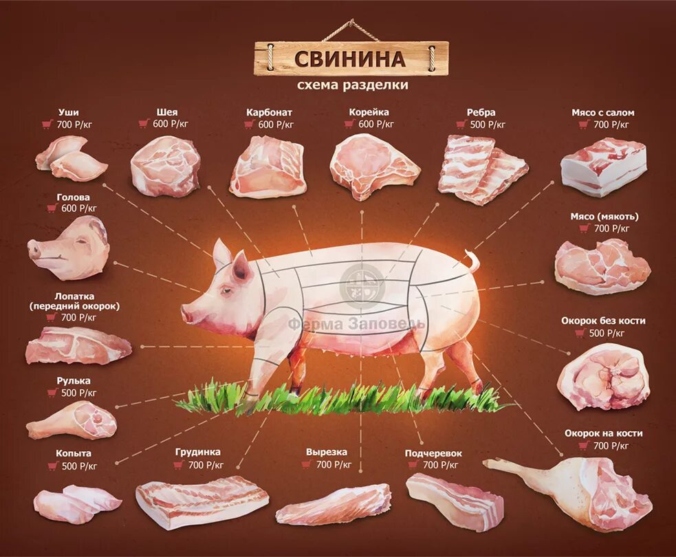 Схема разделки свиной туши карбонат. Как называются части свинины. Карбонат свиной часть туши. Мясо части туши свиньи название.