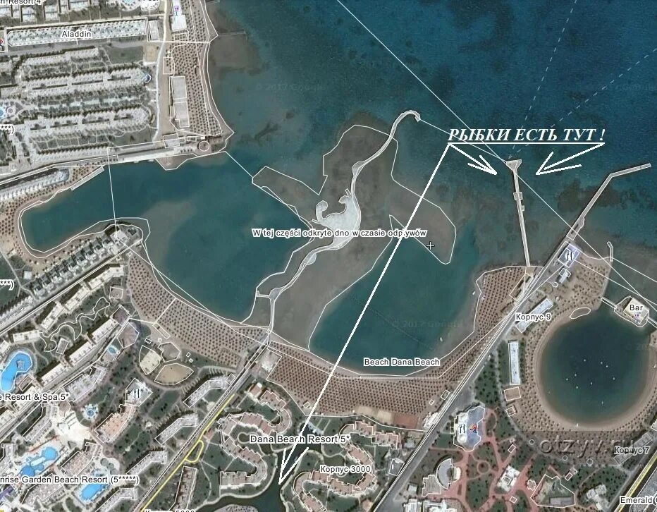 Карта хургада альбатрос. Dana beach resort hurghada карта отеля. dana beach resort схема отеля. dana beach resort карта отеля.
