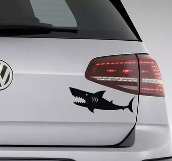Что означает акула на номерах автомобиля